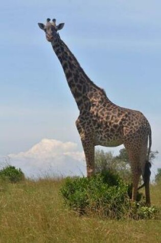 Cover of A Tall Giraffe in Kenya, Africa Journal