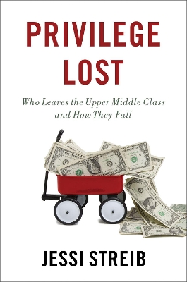 Book cover for Privilege Lost