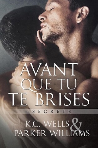 Cover of Avant Que Tu Te Brises (Translation)