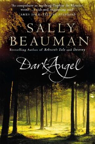 Cover of Dark Angel