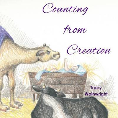 Book cover for Counting from Creation