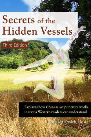 Cover of Secrets of the Hidden Vessels