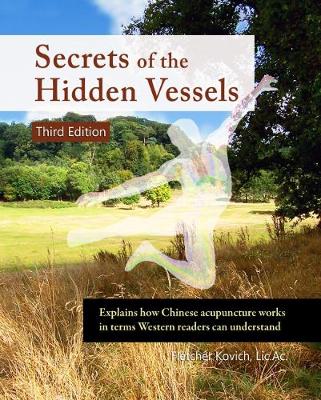 Book cover for Secrets of the Hidden Vessels