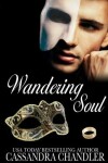 Book cover for Wandering Soul