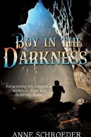 Cover of Boy in the Darkness