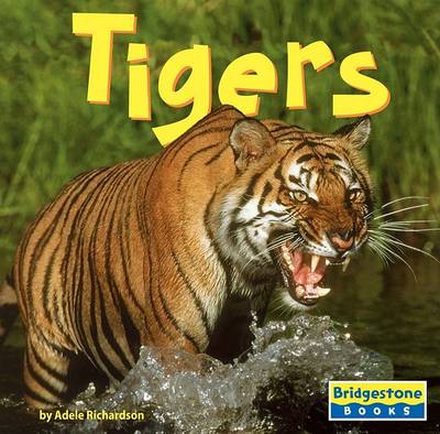 Cover of Tigers