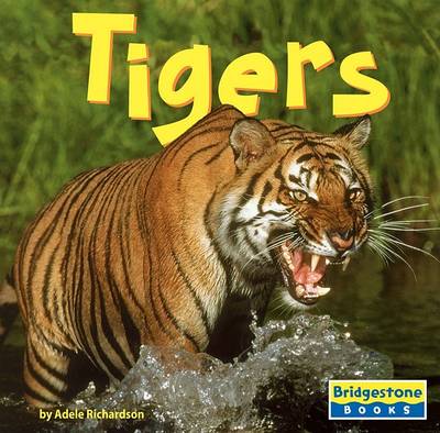 Book cover for Tigers