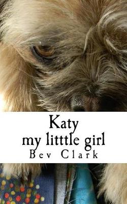 Book cover for Katy