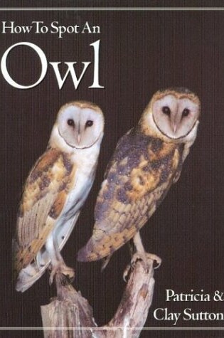 Cover of How to Spot an Owl