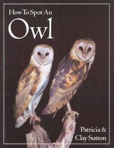 Cover of How to Spot an Owl