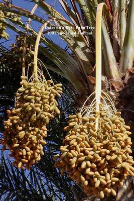 Book cover for Dates on a Date Palm Tree 100 Page Lined Journal