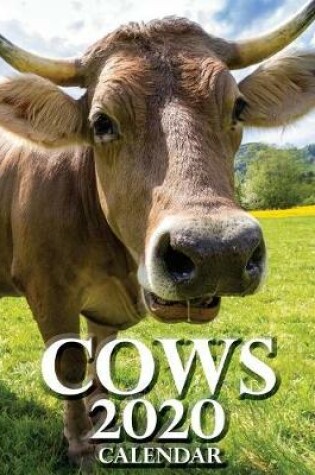 Cover of Cows 2020 Calendar