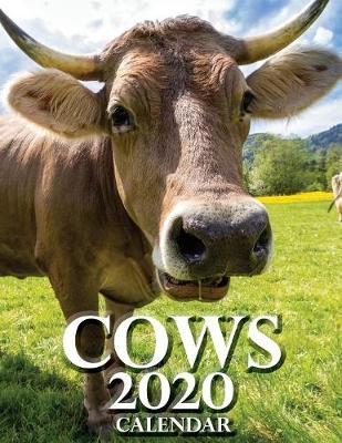 Book cover for Cows 2020 Calendar