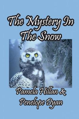 Book cover for The Mystery In The Snow