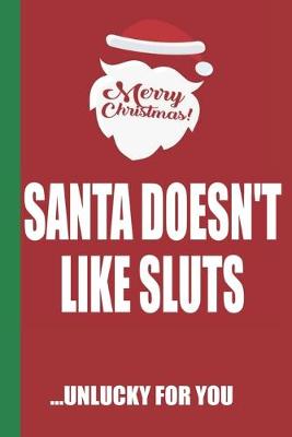 Book cover for Merry Christmas Santa Doesn't Like Sluts Unlucky For You