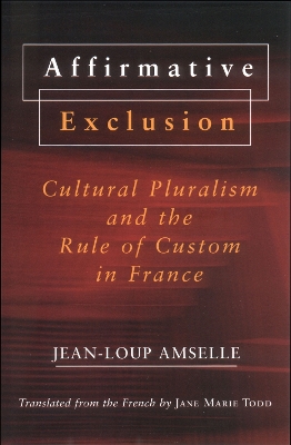 Book cover for Affirmative Exclusion