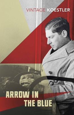 Book cover for Arrow in the Blue