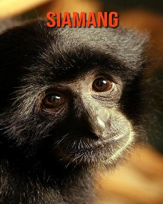 Book cover for Siamang