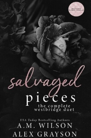 Cover of Salvaged Pieces