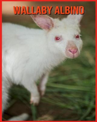 Book cover for Wallaby Albino