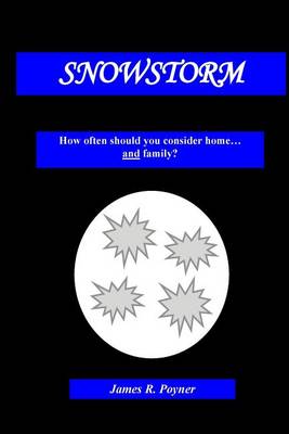 Book cover for Snowstorm