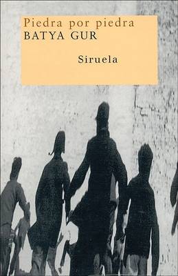 Book cover for Piedra Por Piedra