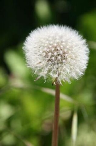 Cover of Fluffy Dandelion Journal