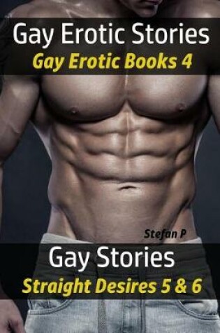 Cover of Gay Erotic Short Stories - Gay Erotic Books 4