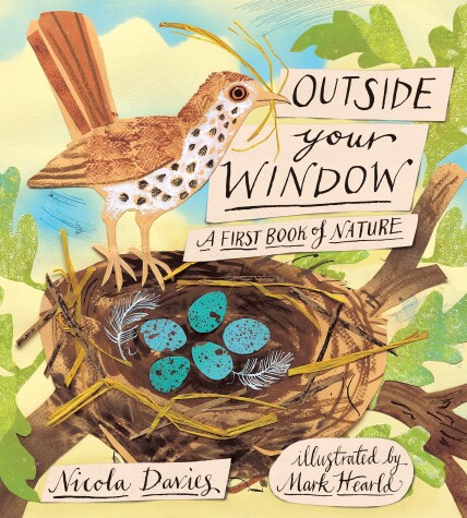 Book cover for Outside Your Window