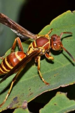 Cover of A Paper Wasp on a Leaf, for the Love of Nature