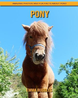 Book cover for Pony