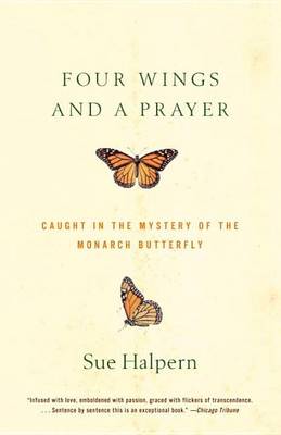 Book cover for Four Wings and a Prayer