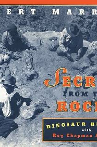 Cover of Secrets from the Rocks