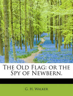 Book cover for The Old Flag