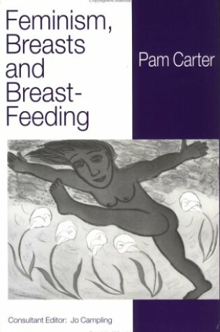 Cover of Feminism, Breasts and Breastfeeding