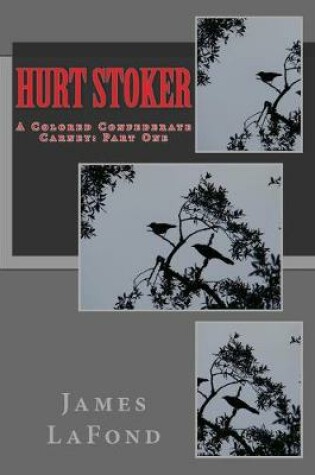 Cover of Hurt Stoker
