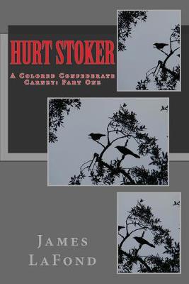 Book cover for Hurt Stoker