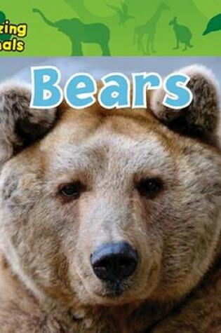 Cover of Bears