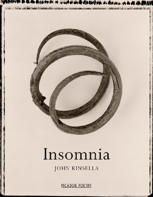 Book cover for Insomnia