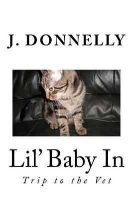 Book cover for Lil' Baby In