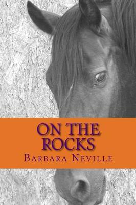 Book cover for On the Rocks