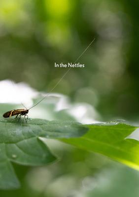 Cover of In the Nettles
