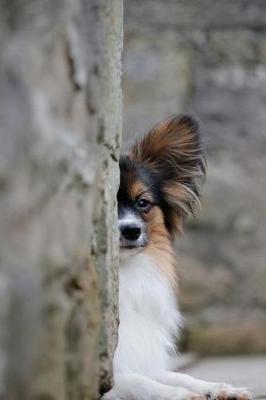 Book cover for Papillon Dog Playing Hide and Seek Journal