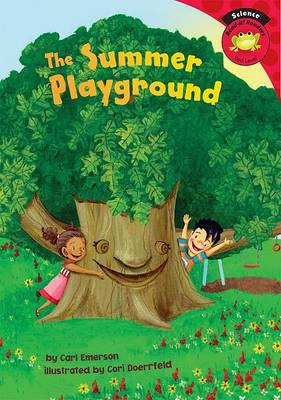 Book cover for The Summer Playground