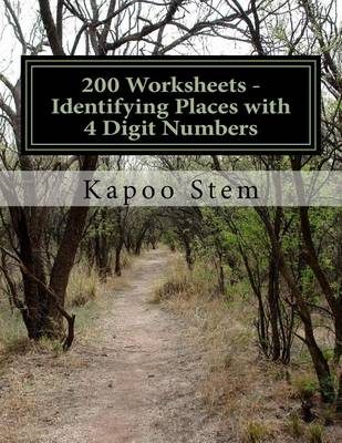 Book cover for 200 Worksheets - Identifying Places with 4 Digit Numbers