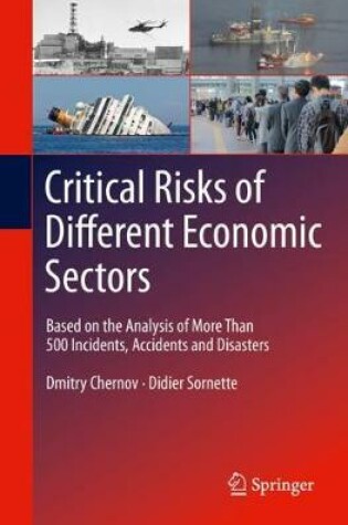 Cover of Critical  Risks of Different Economic Sectors