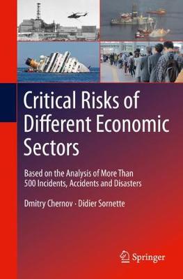 Book cover for Critical  Risks of Different Economic Sectors