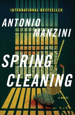 Book cover for Spring Cleaning