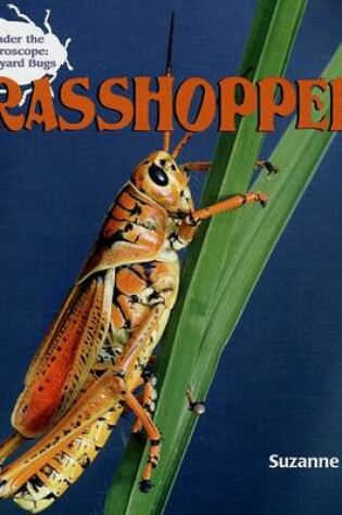 Cover of Grasshoppers