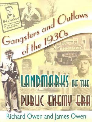 Book cover for Gangsters and Outlaws of the 1930's